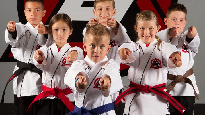 Tyler Martial Arts Taekwondo Self Defense Classes Tiger Rock